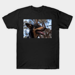 Max - Australian Kelpie T-Shirt